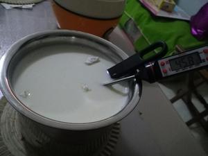 用奶粉做酸奶的做法 步骤4