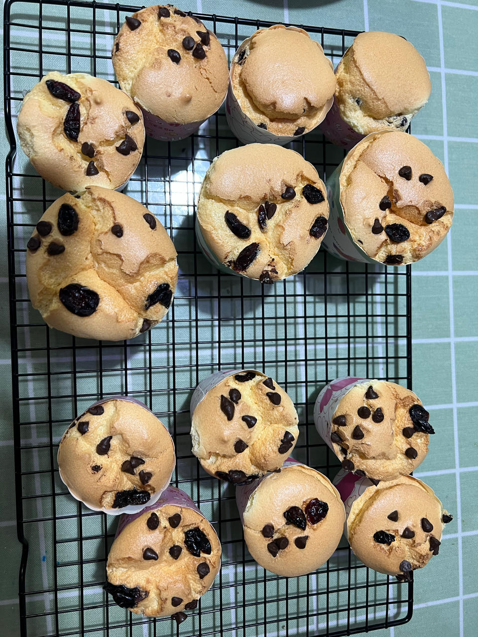 不回缩杯子蛋糕cupcake