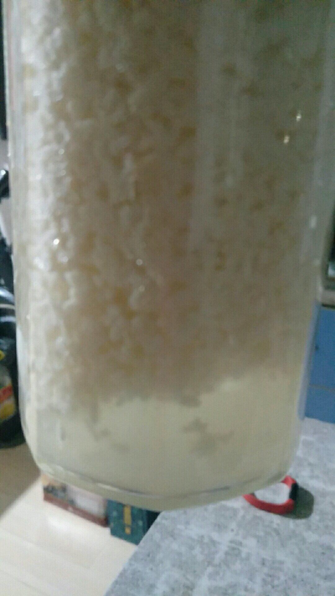 酒酿 (酒酿系列一）