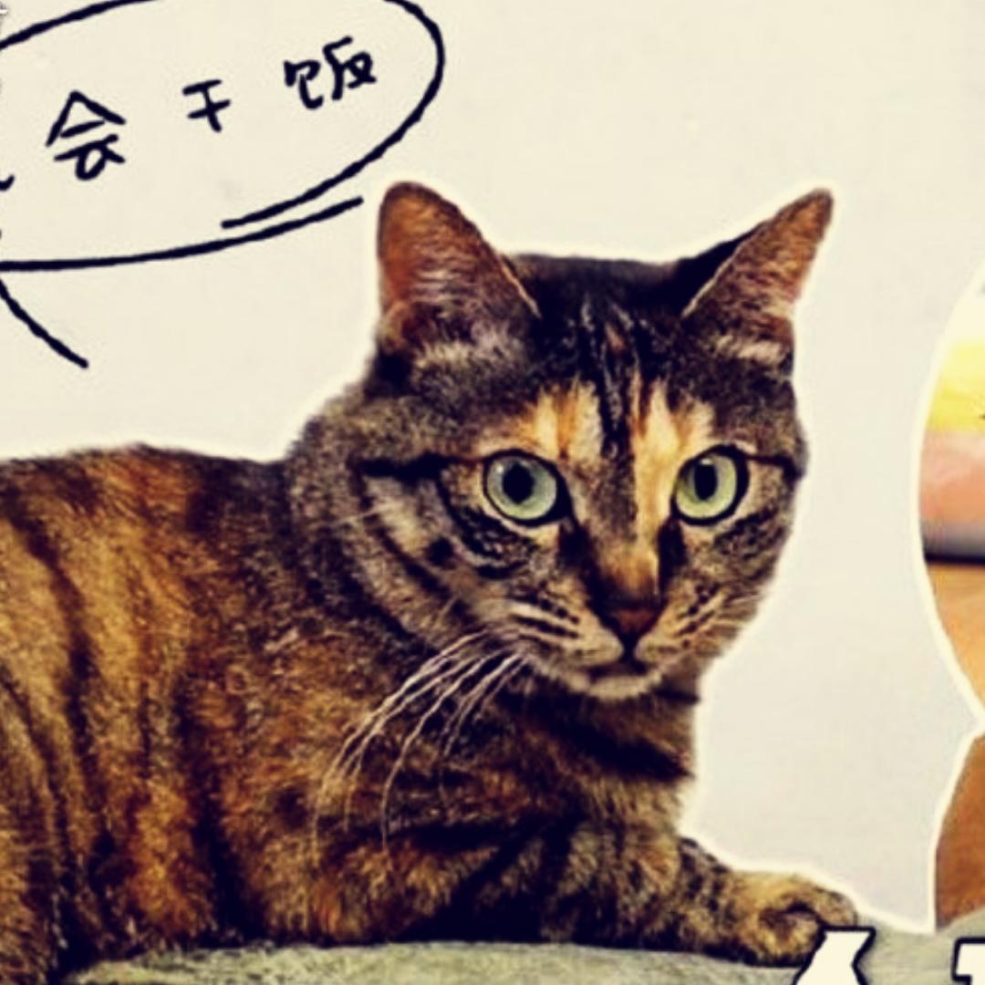 手残吃货yummy