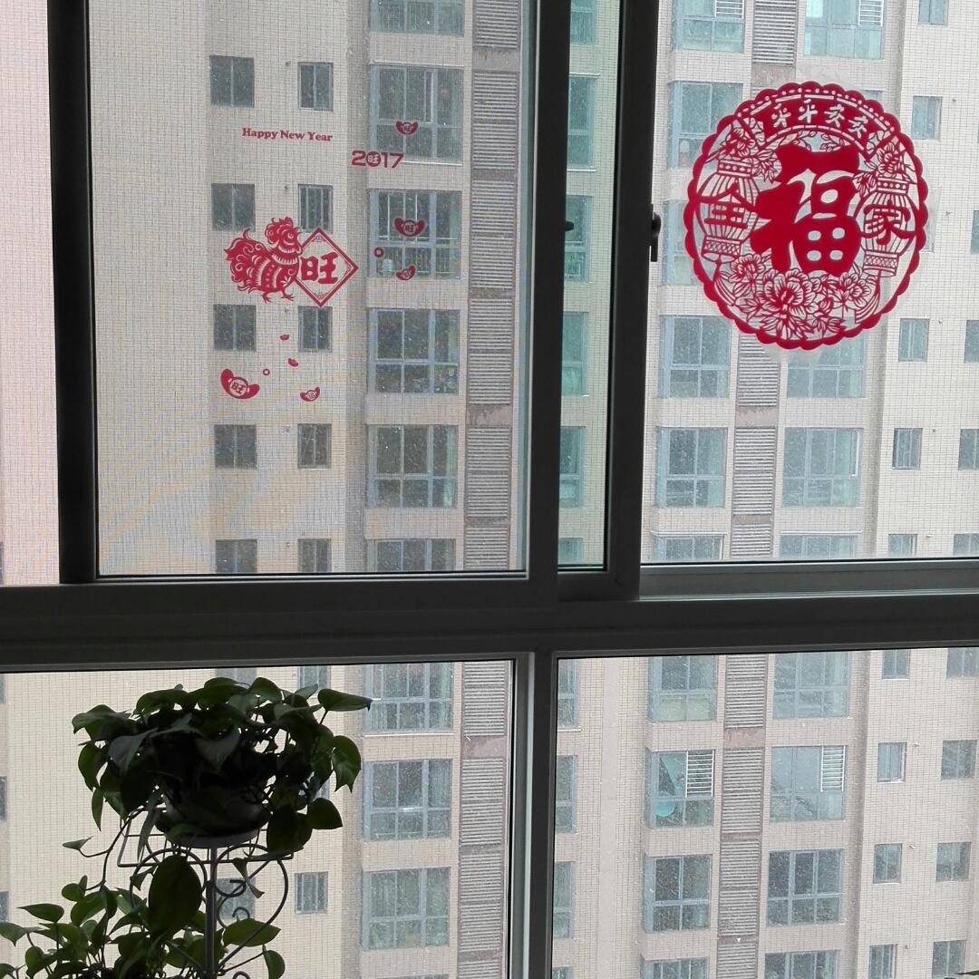 0456红枫