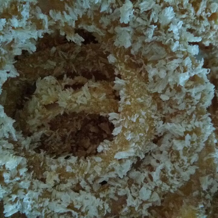 炸洋葱圈