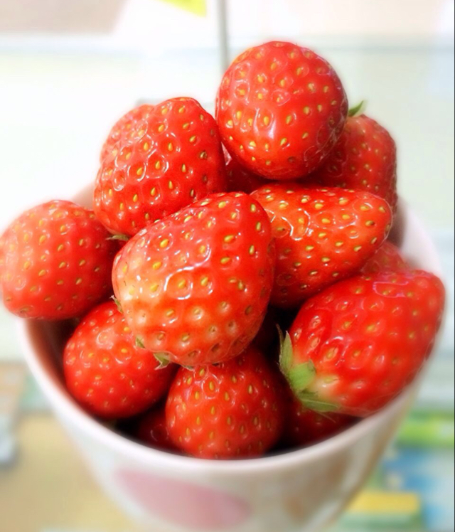 草莓星人的草莓们