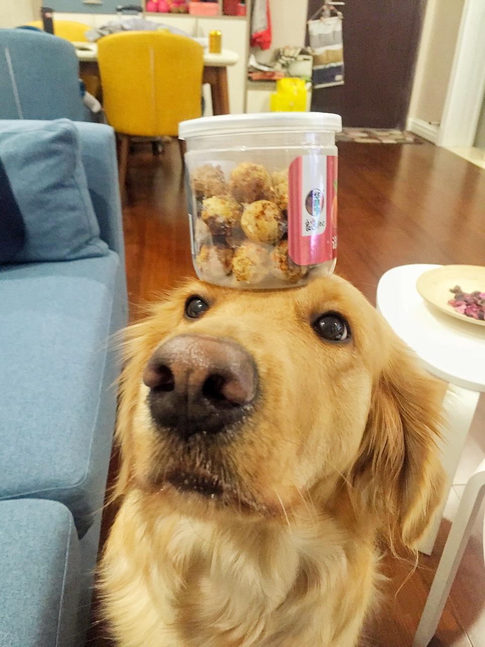 狗狗奖励零食---胡萝卜肉球