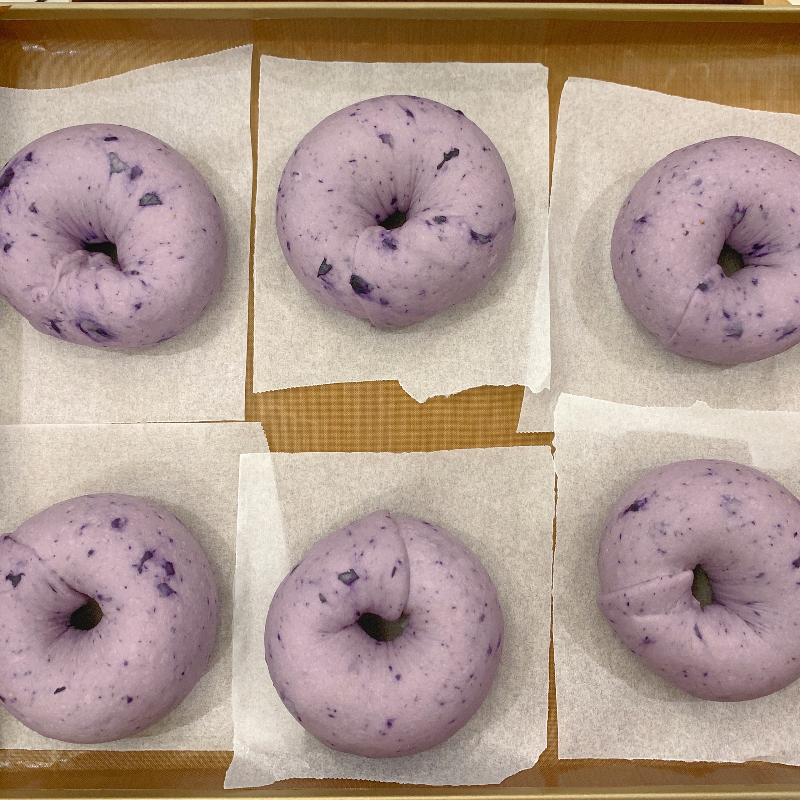 一次发酵版蓝莓贝果的做法 步骤3