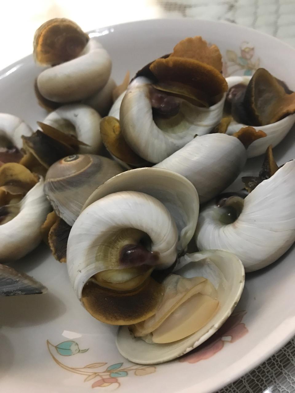 白灼香螺