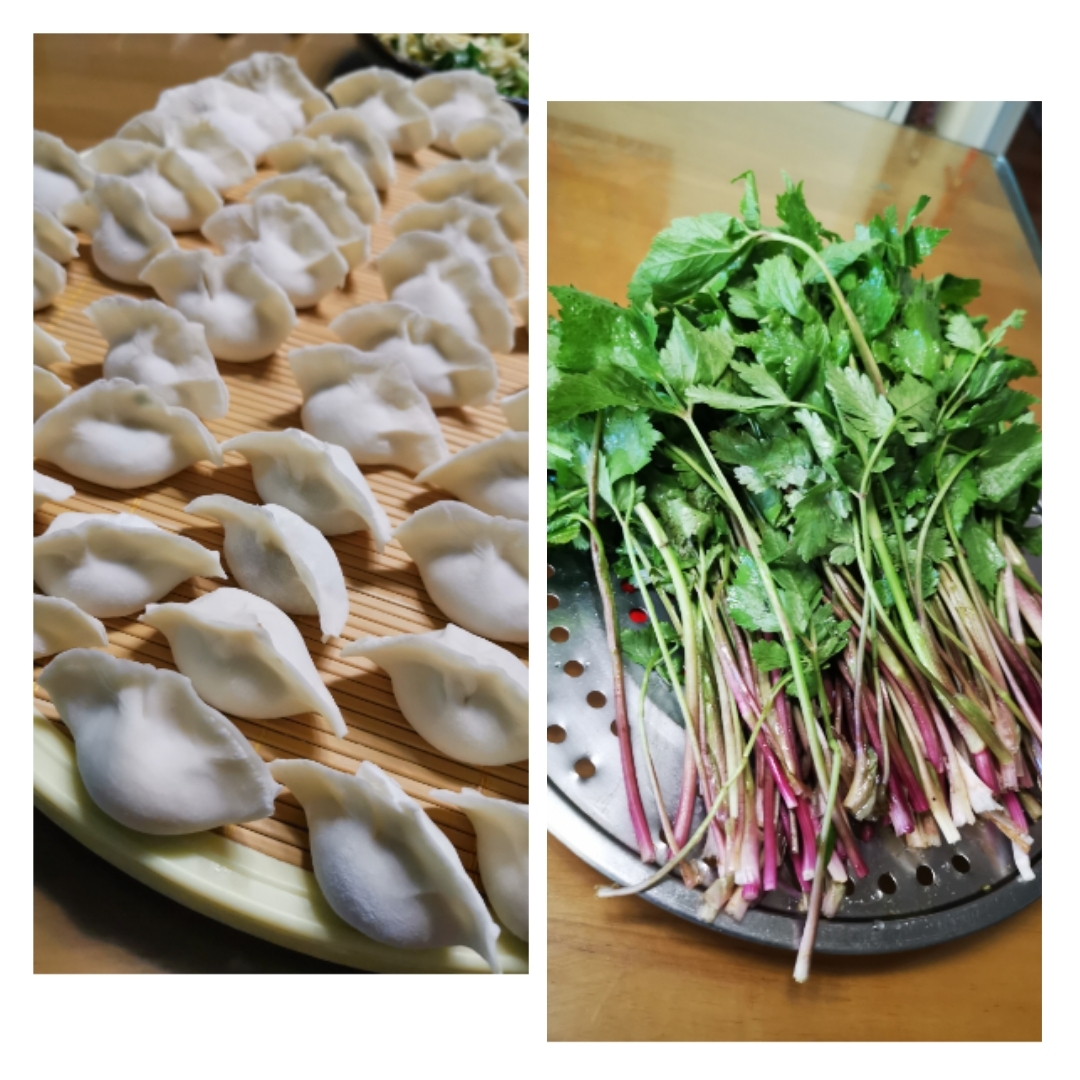 “山芹菜”水饺的做法