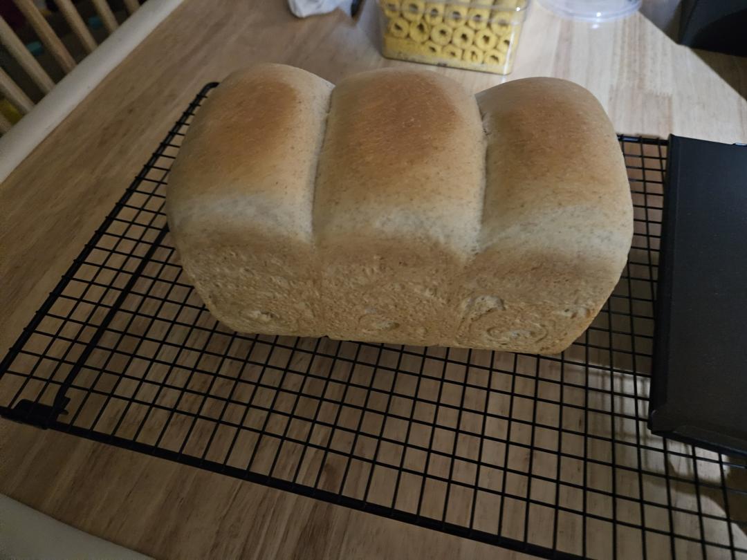 夺命软吐司(๑´ڡ`๑)超软拉丝极速方便的一次发酵吐司