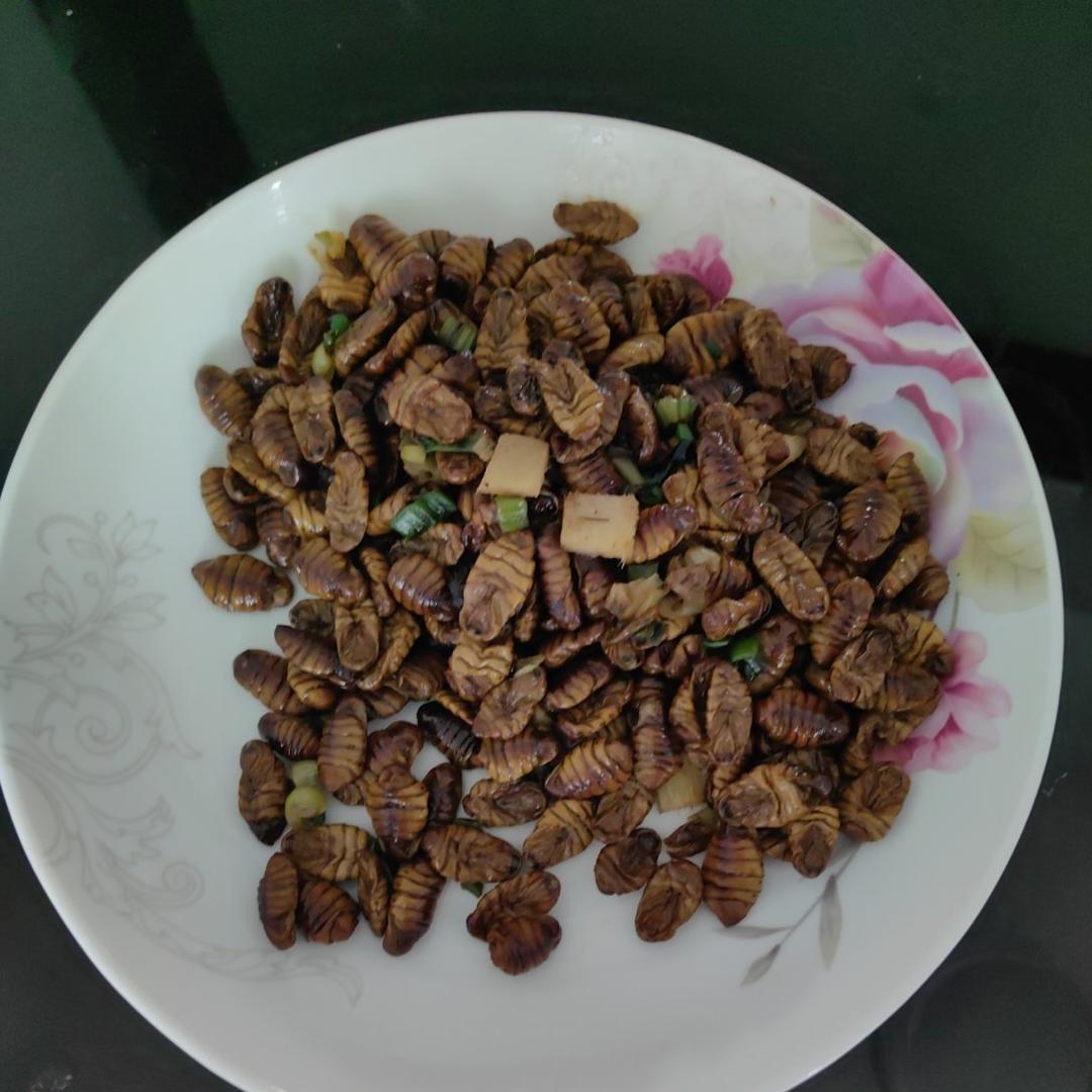 炒金丝蛹