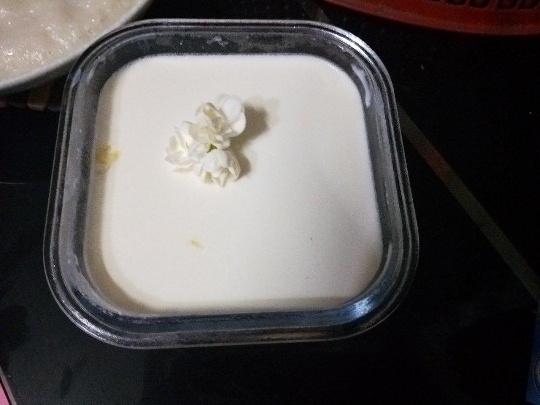 茉莉奶冻
