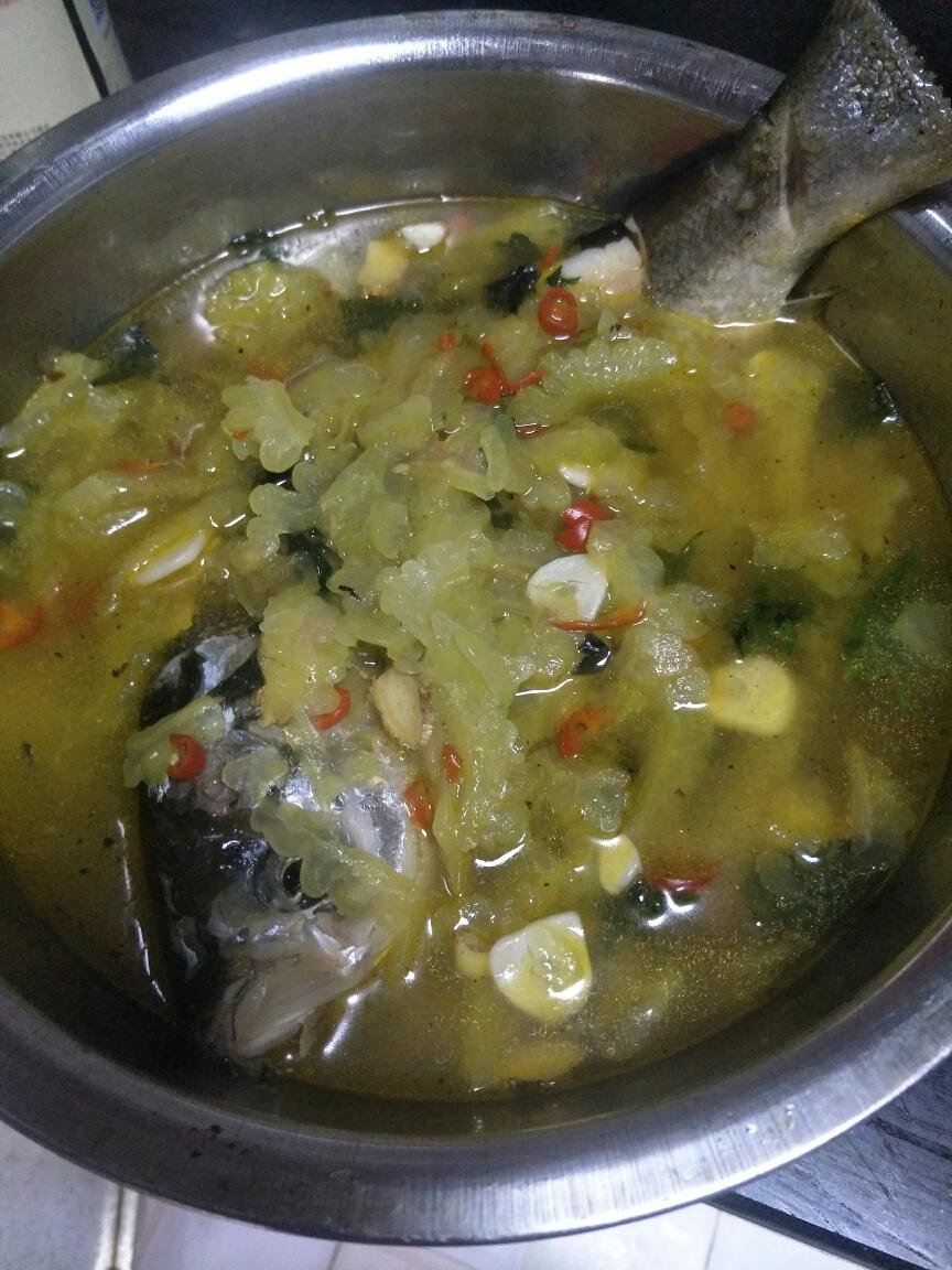 【苦瓜煮鱼的做法步骤图,苦瓜煮鱼怎么做好吃】le路过蜻蜓_下厨房