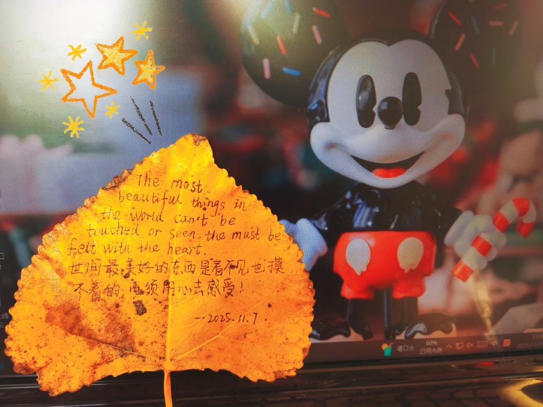 初中生早餐(2025年11月)