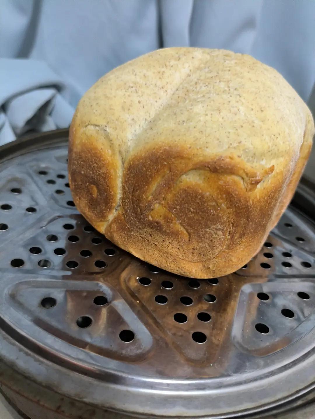 夏天面包机如何揉手套膜