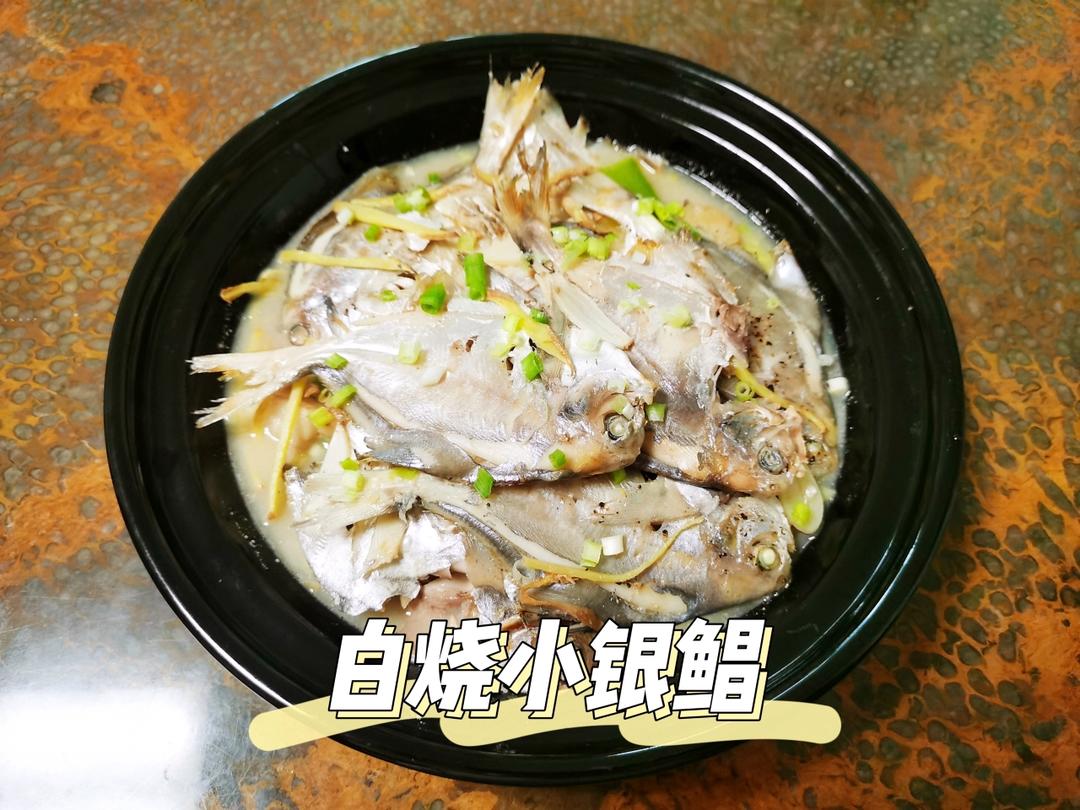 白烧小鲳鱼（返璞归真的极简鲜美）