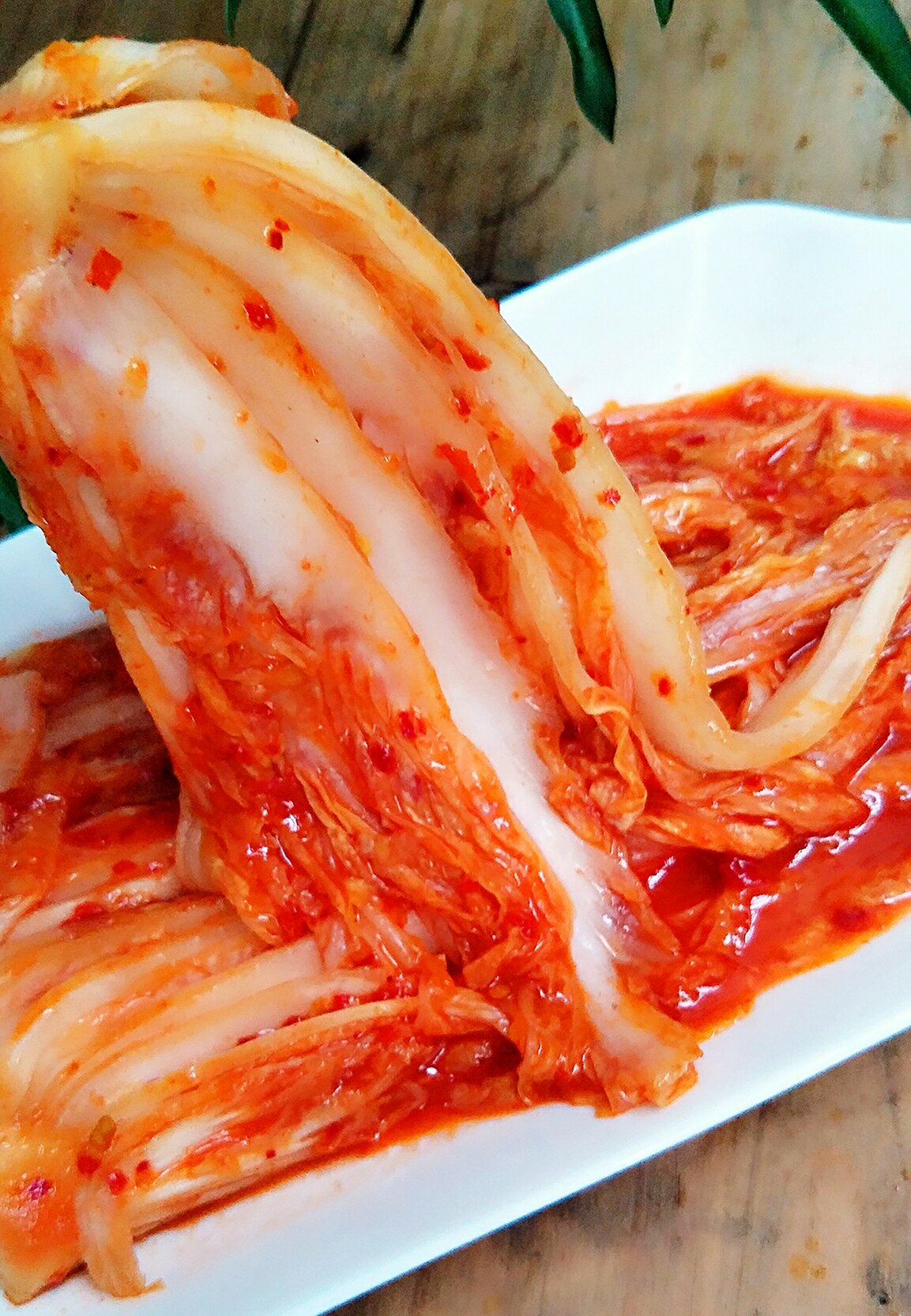 韩国泡菜 图片欣赏图片