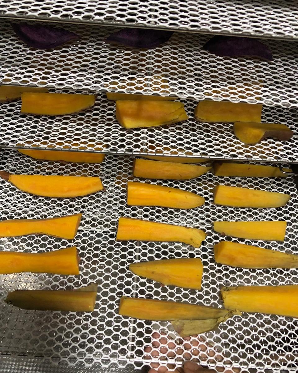 烘干机版红薯地瓜山芋干