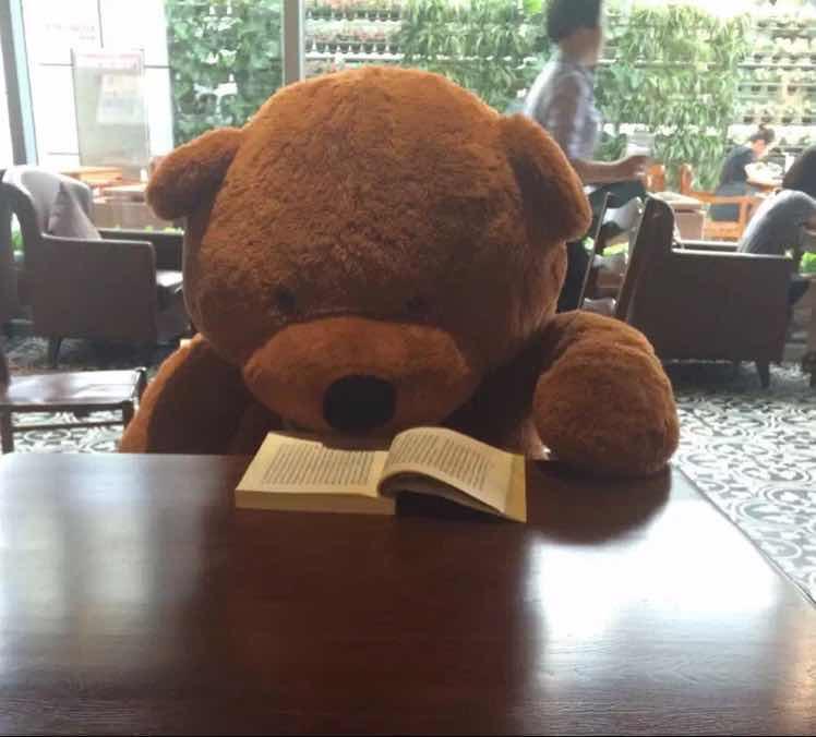 手机用户8508_519t