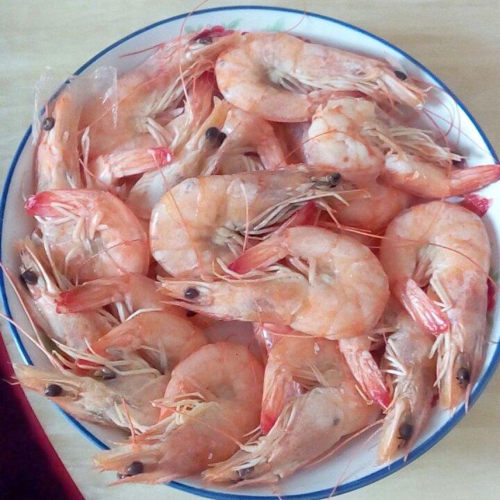 盐水虾