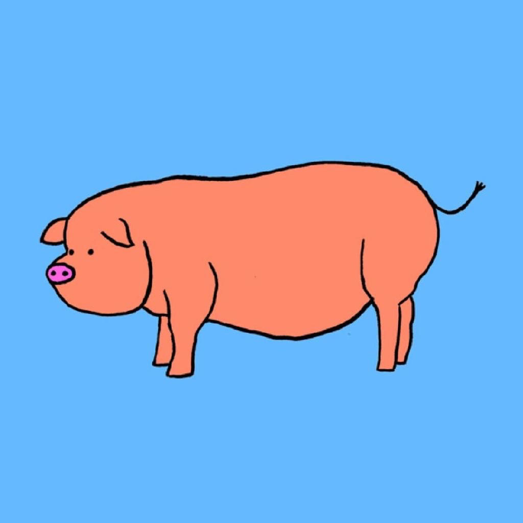 谦虚好学的肥肥