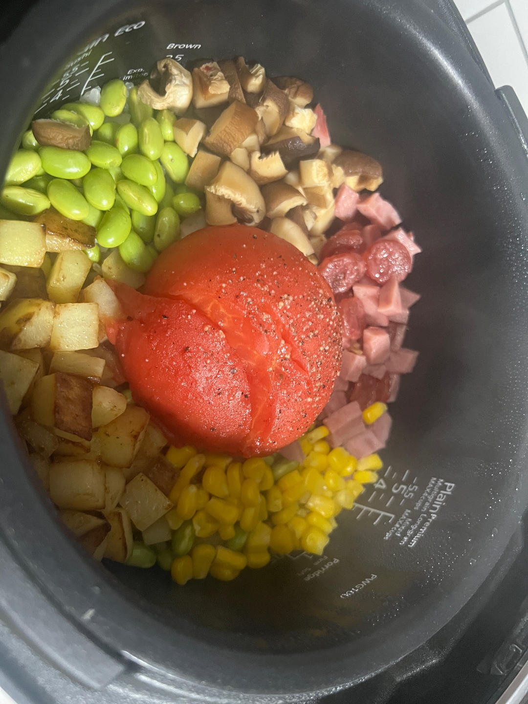 一颗番茄饭