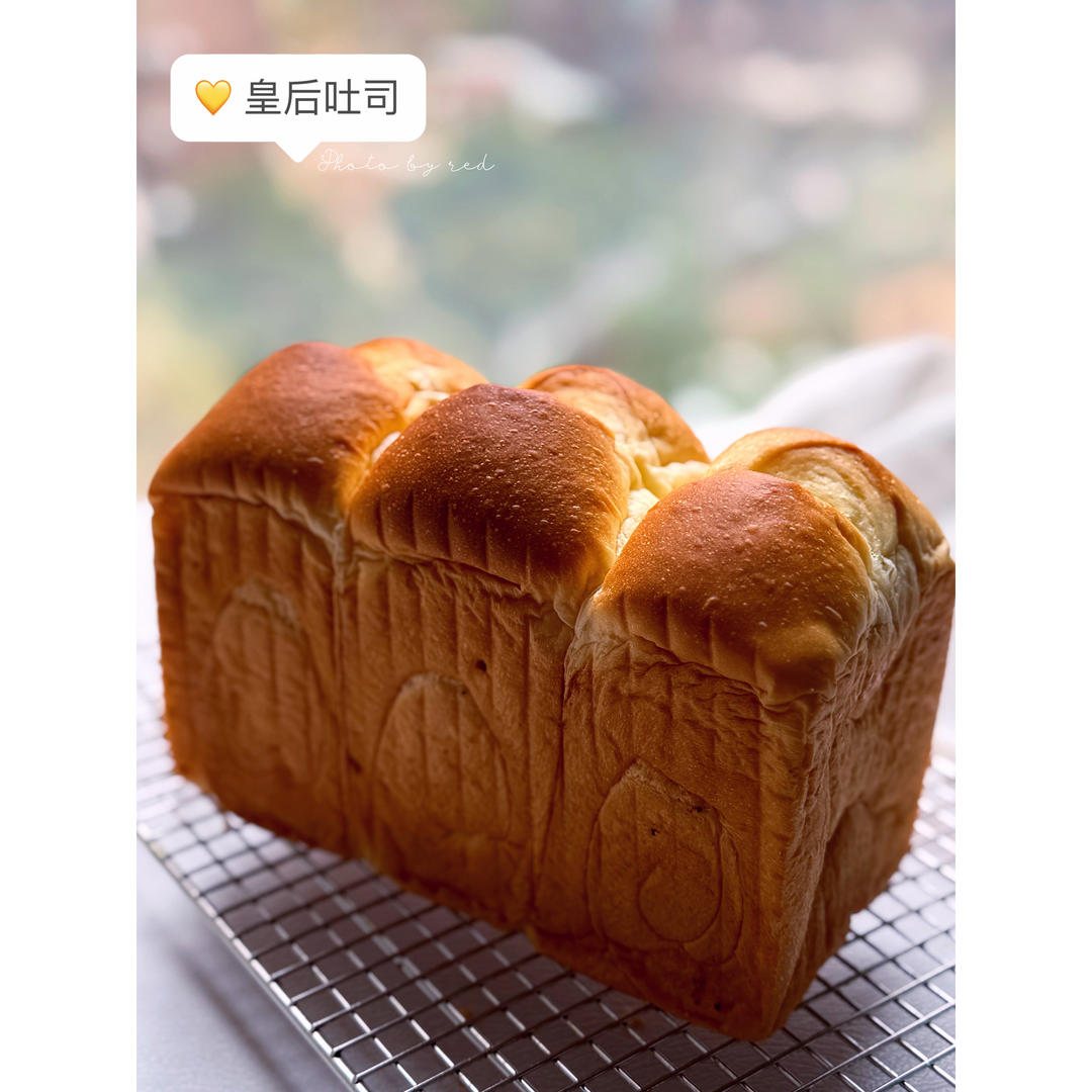 晚餐•2026年3月24日