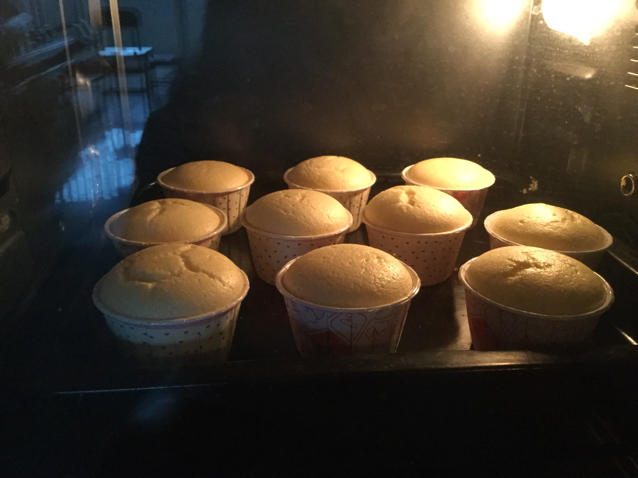 不回缩杯子蛋糕cupcake