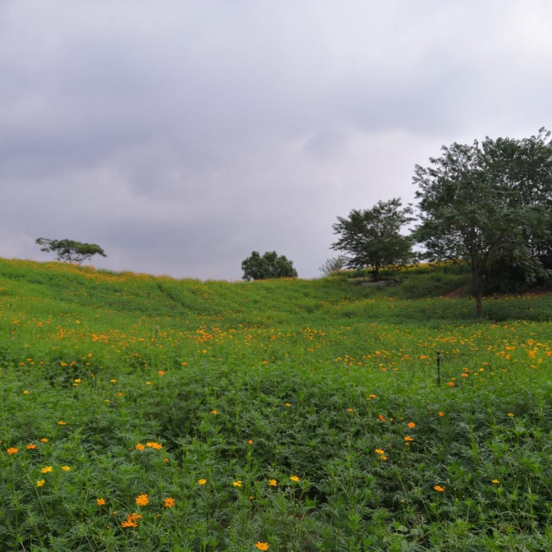 喜欢做美食的女人