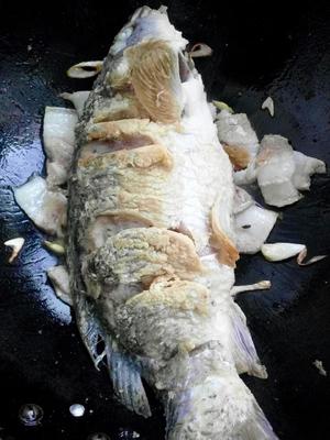老东北鲤鱼炖粉条的做法 步骤10