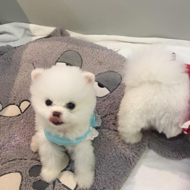 笑笑的菜