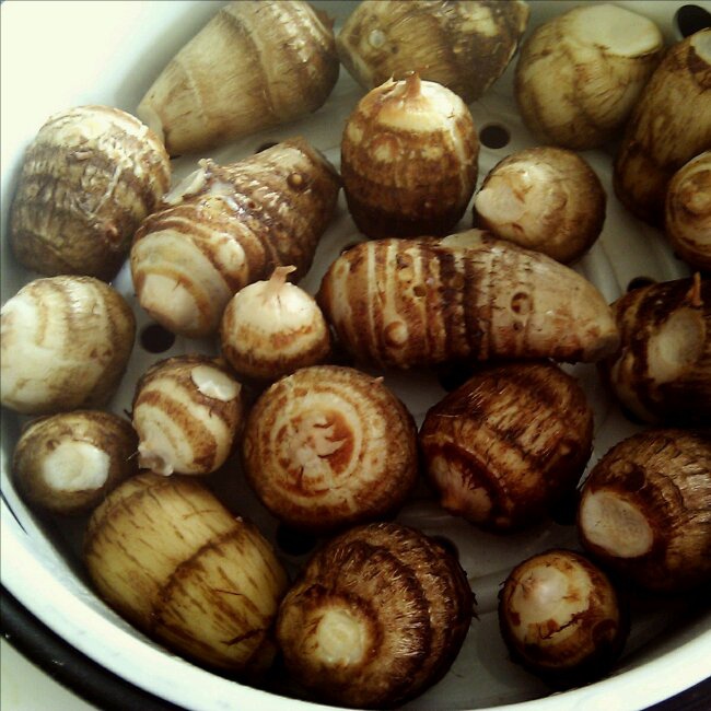 carollolo做的董太的私房菜蒸芋头