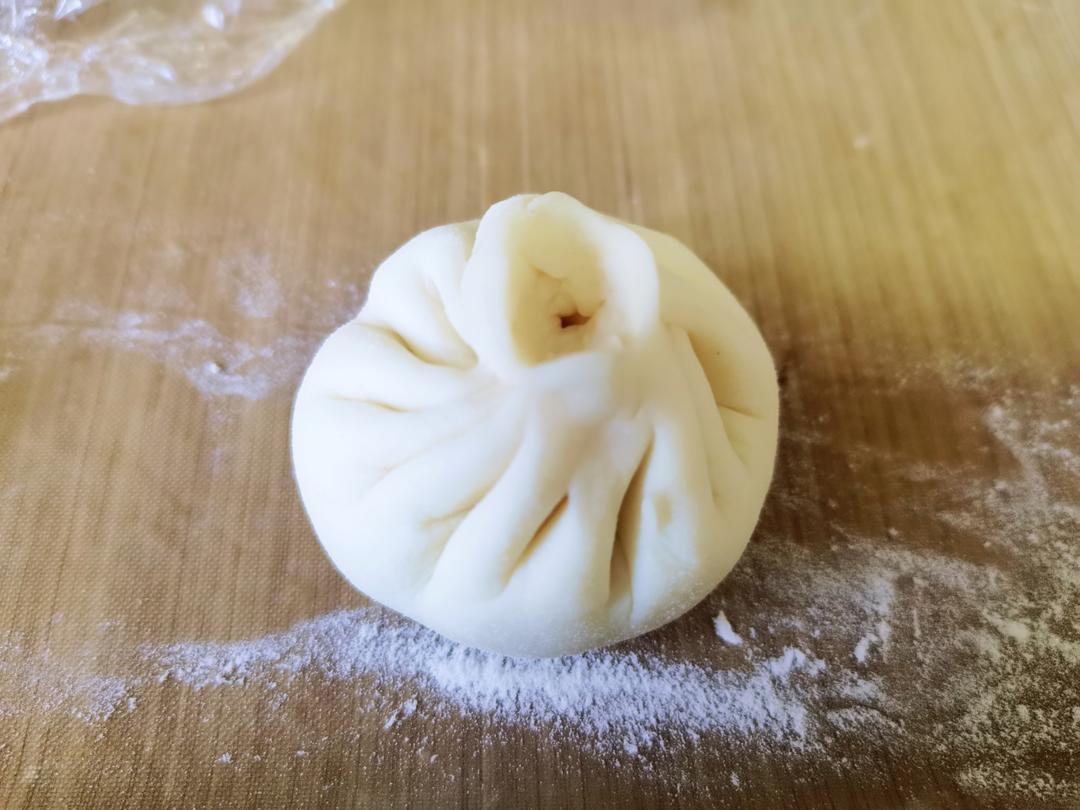 一次发酵肉包子