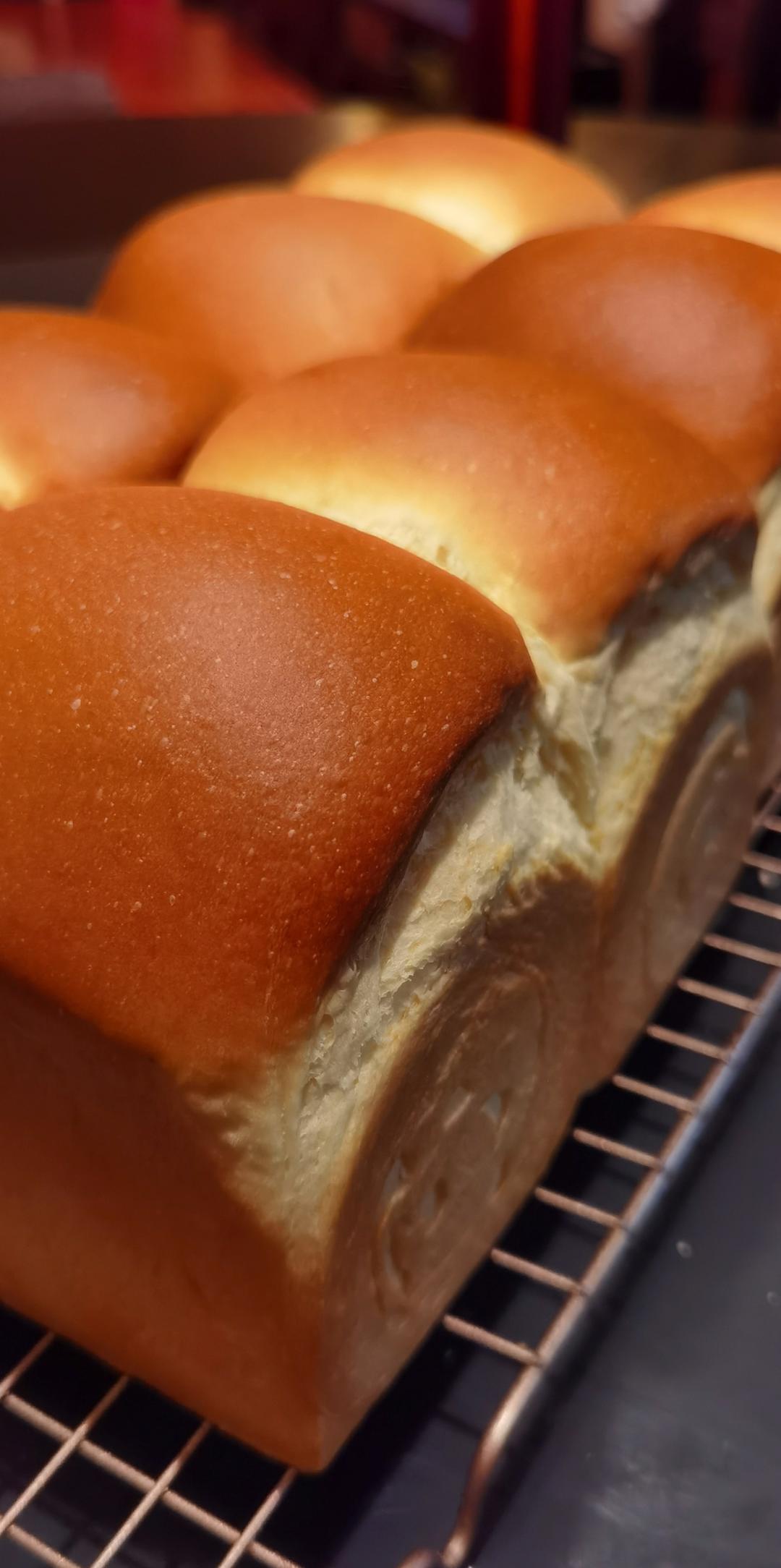 一整个蛋吐司（超好记的万能吐司配方）