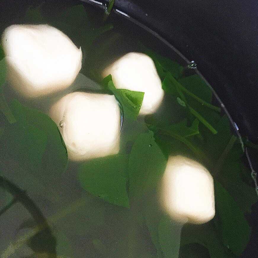 菠菜鱼丸汤