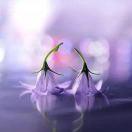 手机用户1775_ei3g