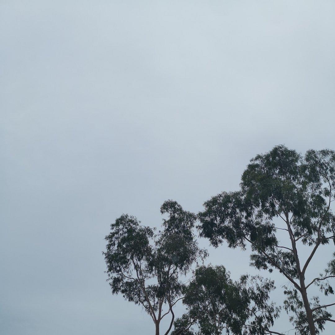 啊呜额一啊呜额一