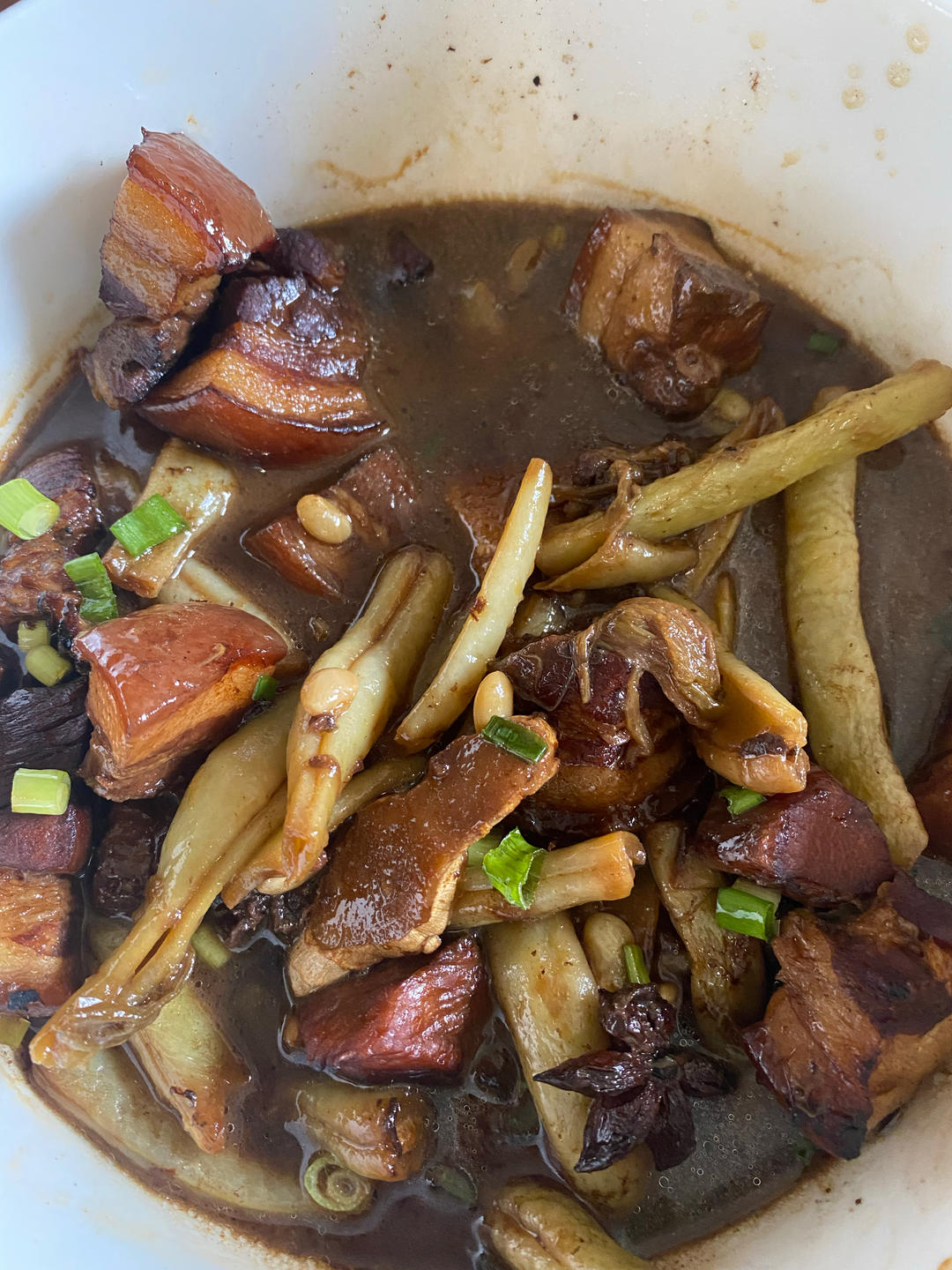 红烧肉炖豆角（绝对下饭）