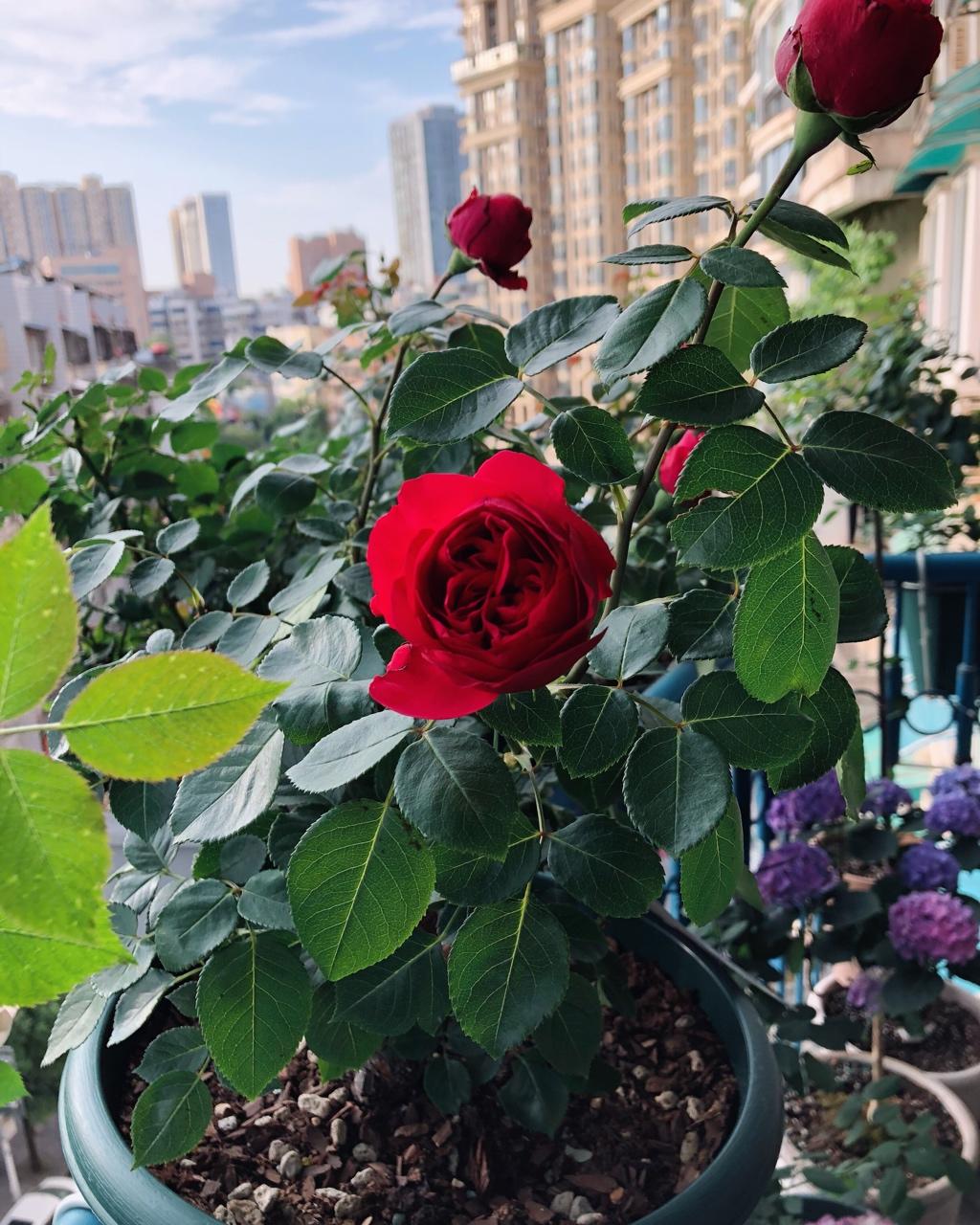 我的小心情，此处安放