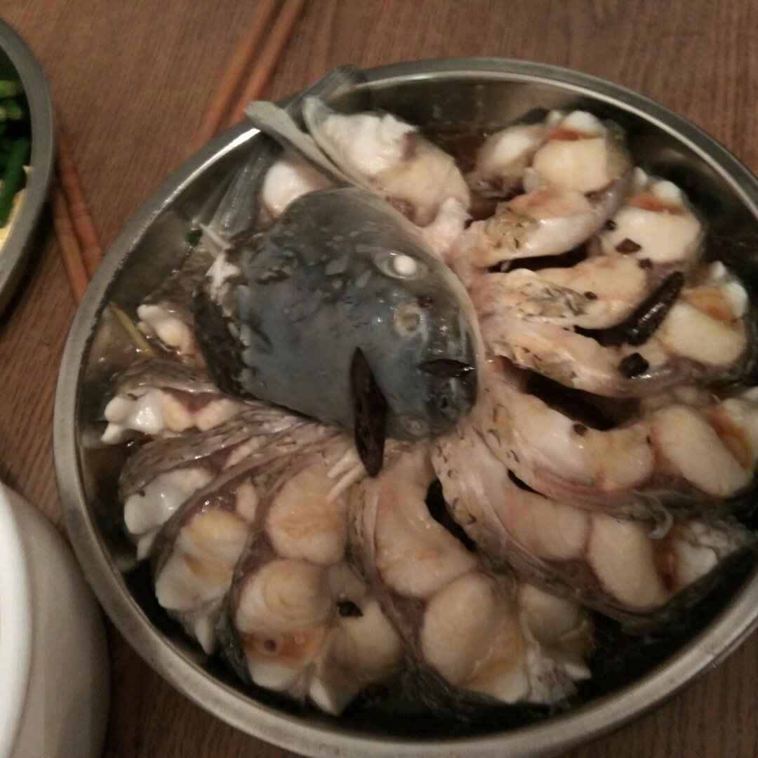 孔雀开屏鱼.