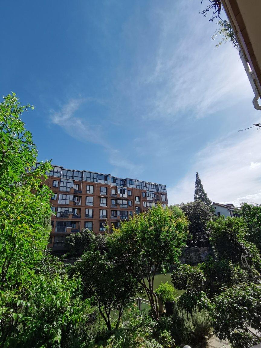 蛋黄酥（色拉油版）