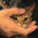 微信用户_tGog