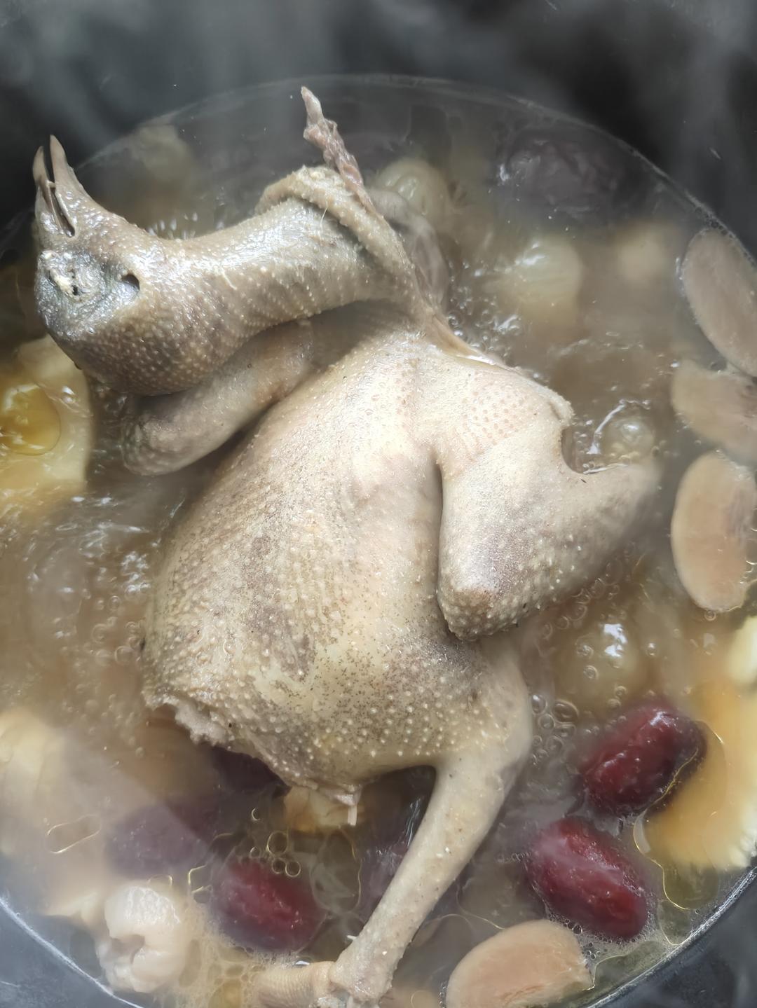 阿胶鸽子汤的做法