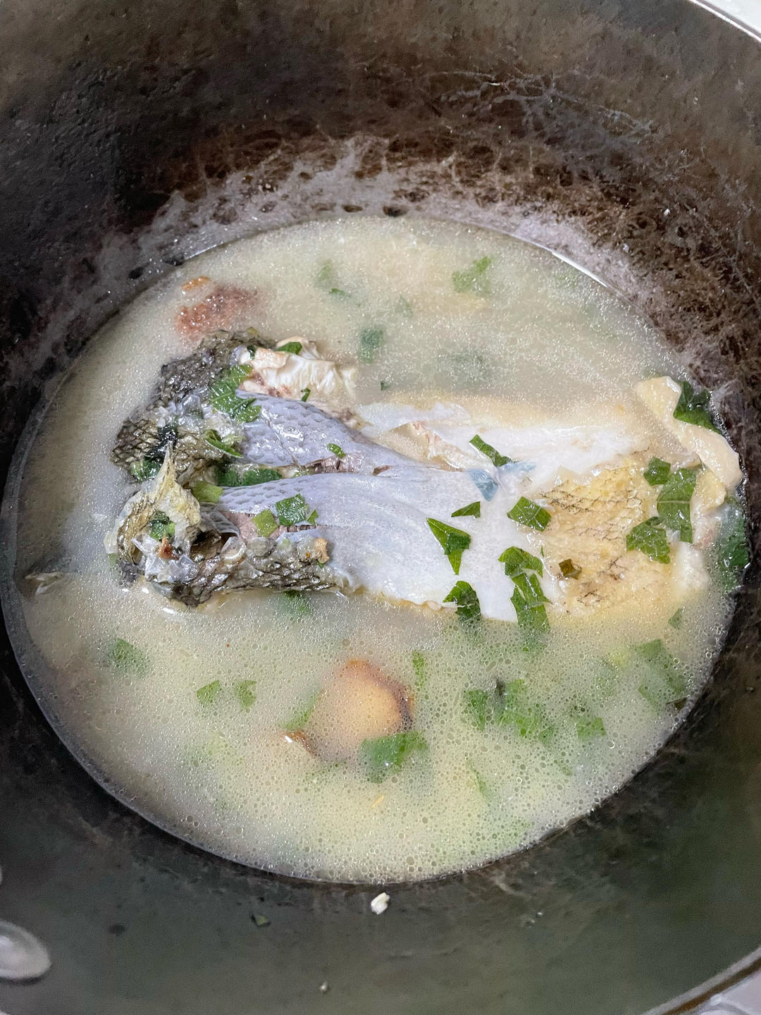健脾胃食谱：大头鱼肉汤