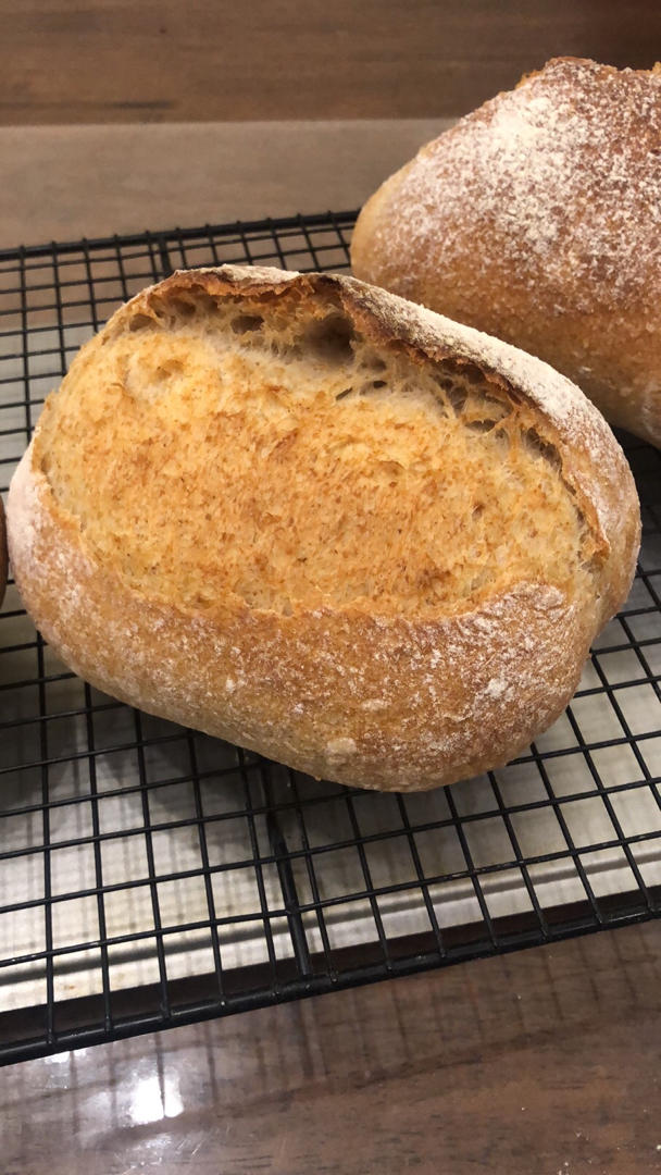 面包 天然酵母 t65 野性 基础硬欧包 morning归来做的天然酵母 t65