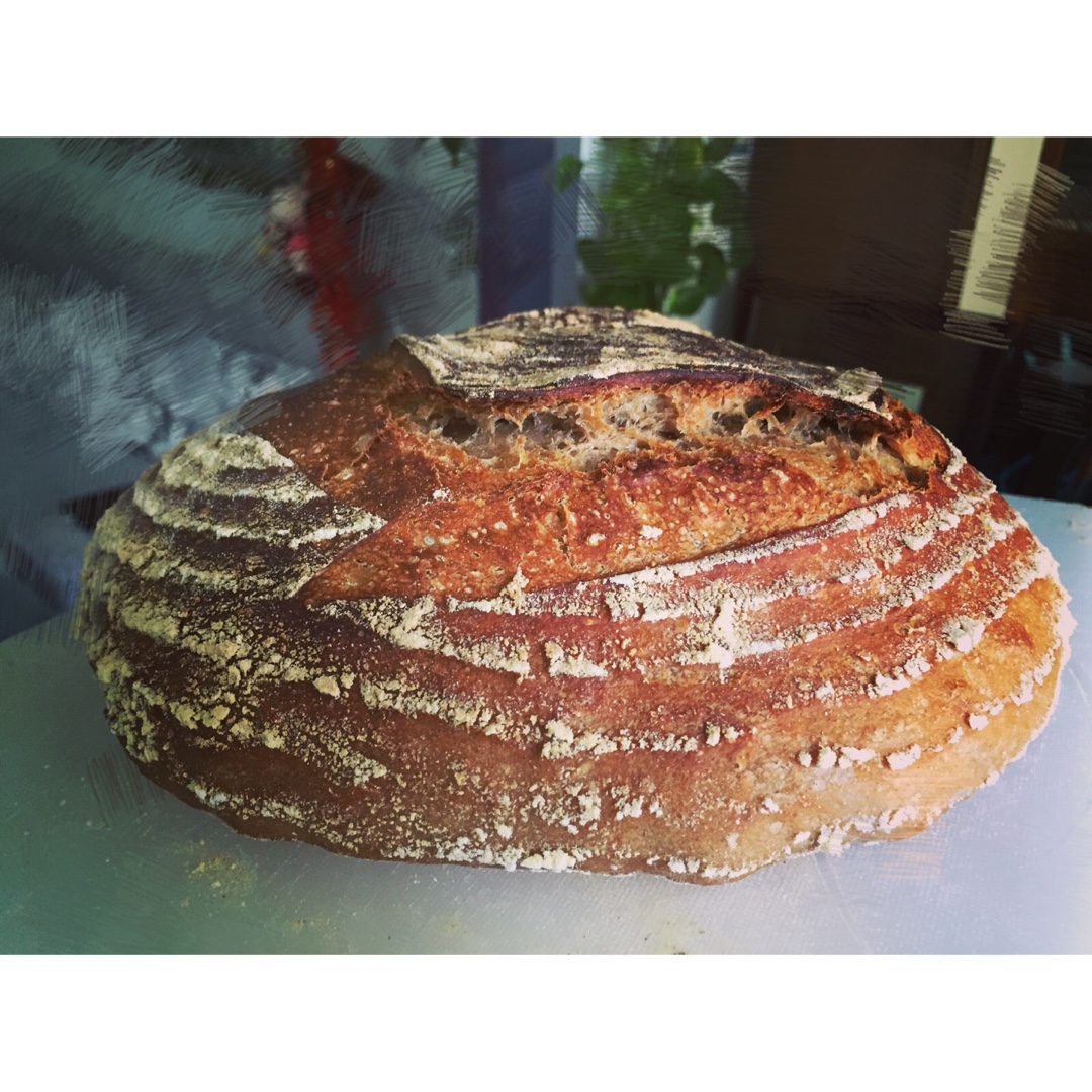 【Ken Forkish】Field blend #2粗黑麦天然酵种欧包