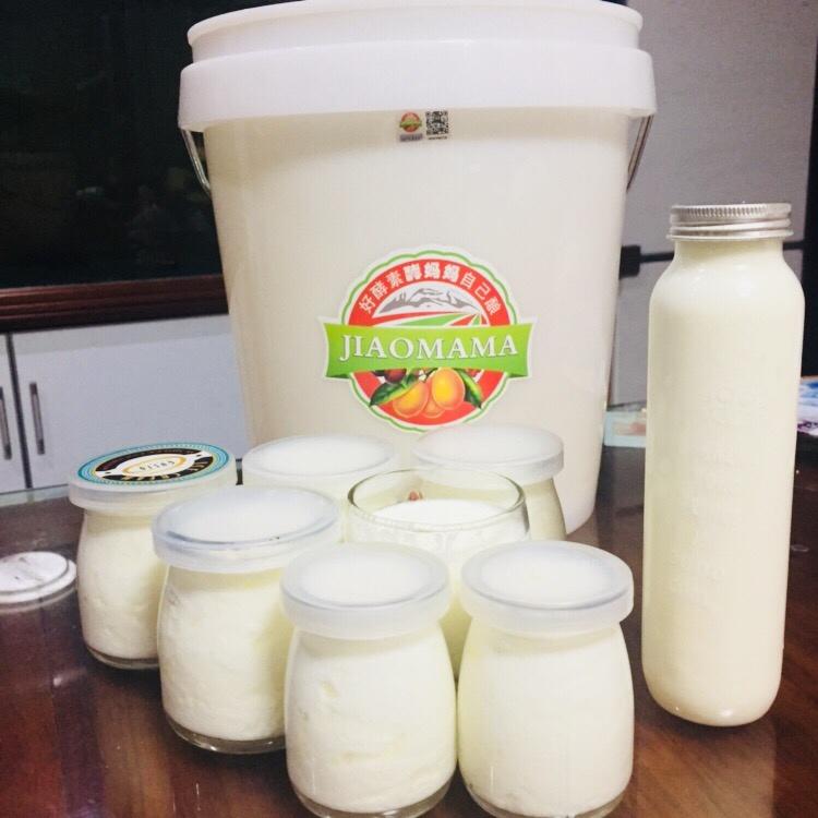酵素桶自制酸奶的做法