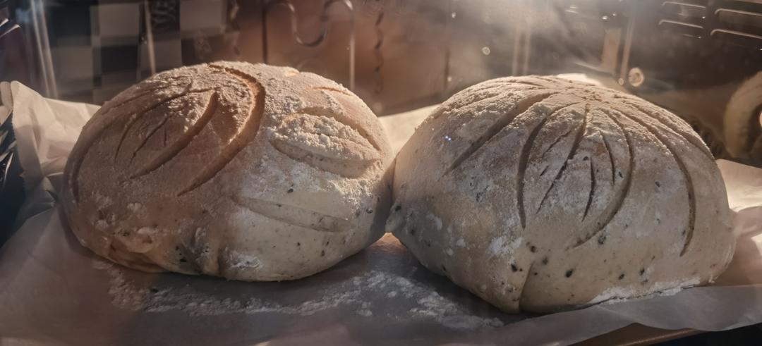 提子干全麦软欧包