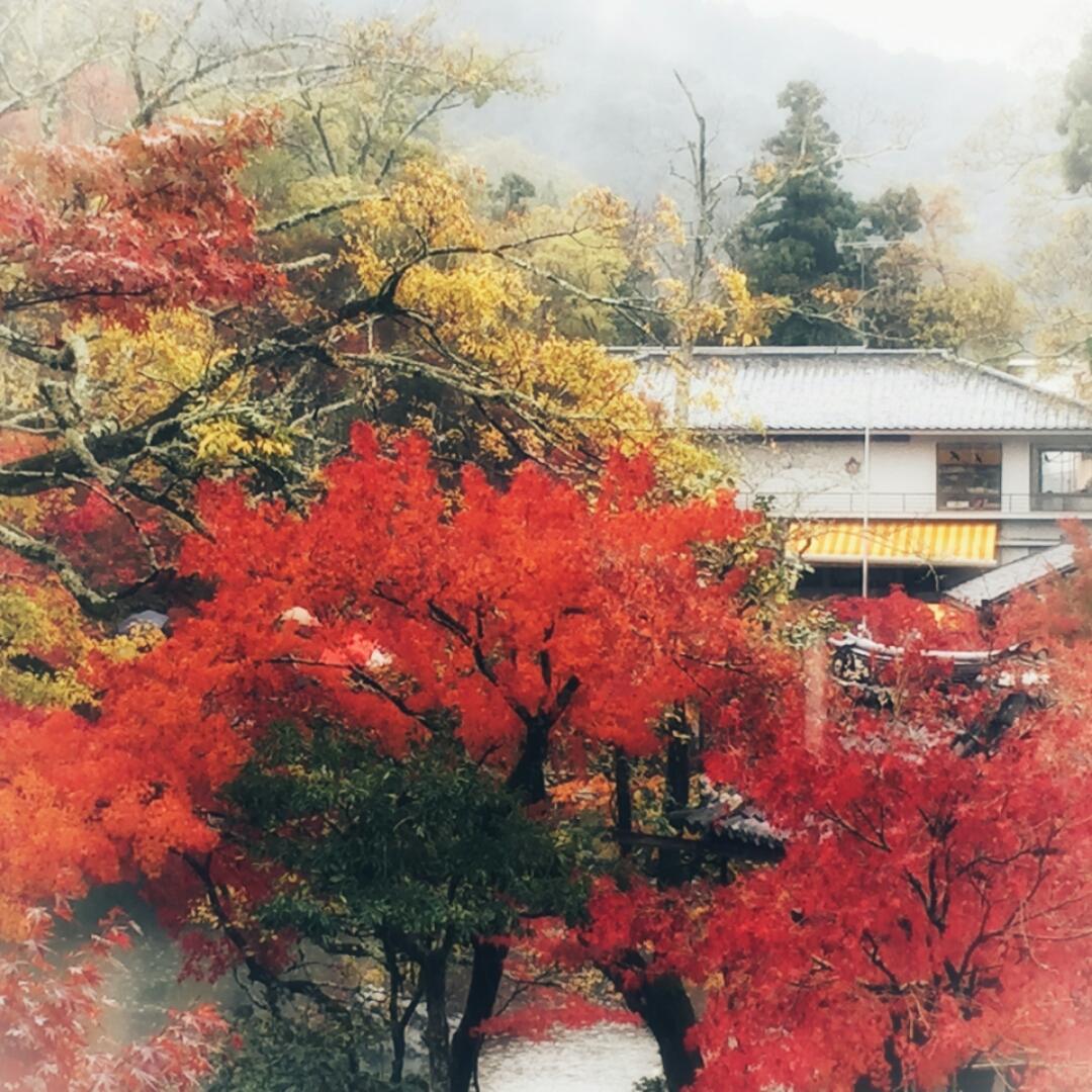 馨然_fqkh