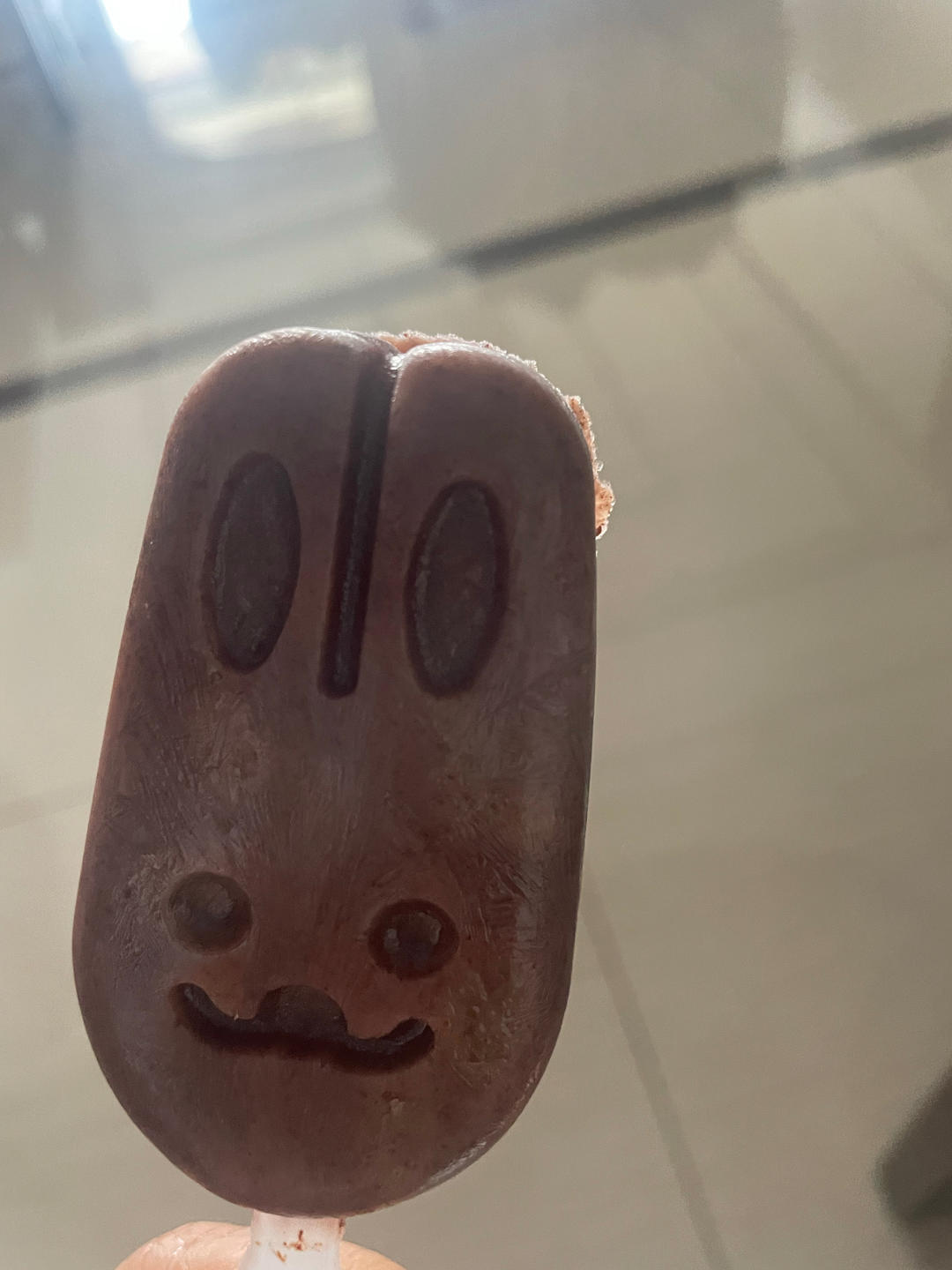 自制巧克力牛奶雪糕