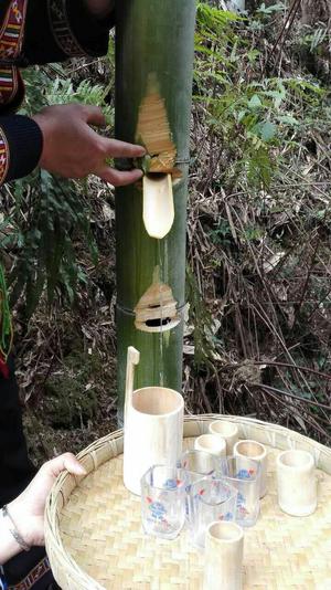天然酵素--竹汁酒的做法 步骤3