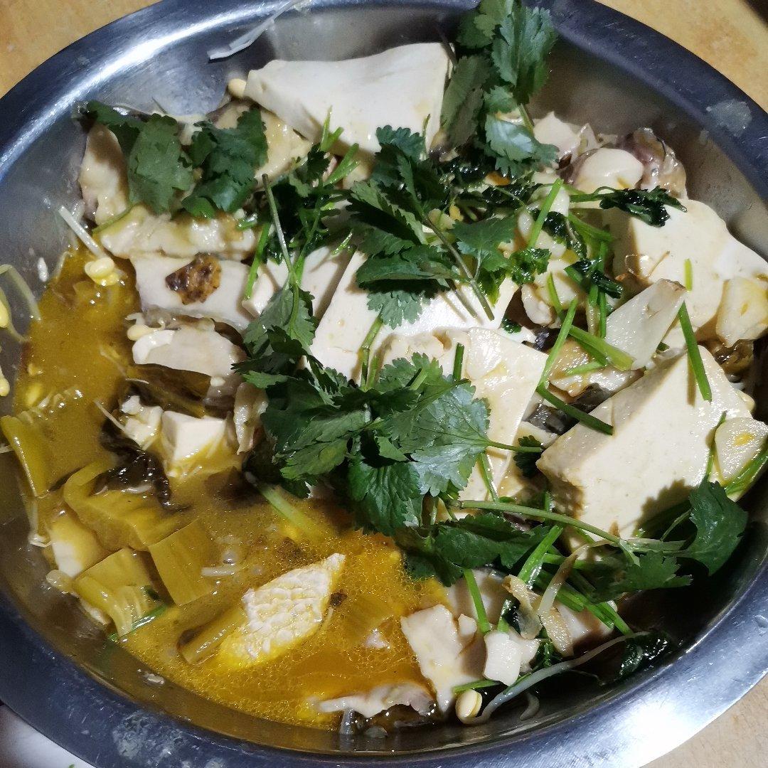 家常酸菜鱼